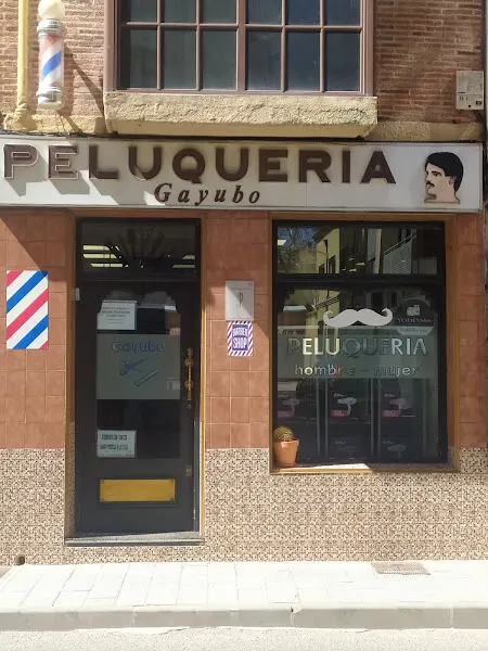 Gayubo Peluqueros - Aranda de Duero