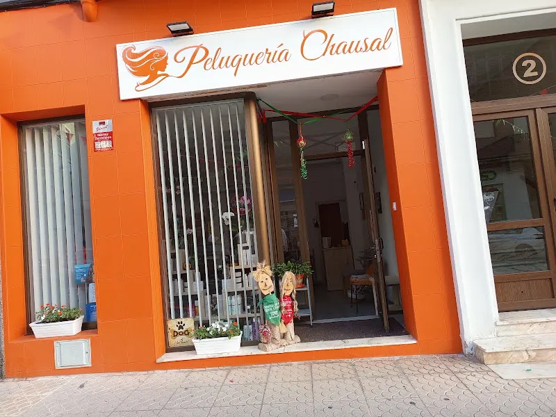 Peluqueria Chausal Unisex - Torrelavega