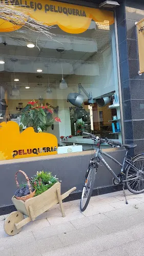 Peluqueria Maite Vallejo