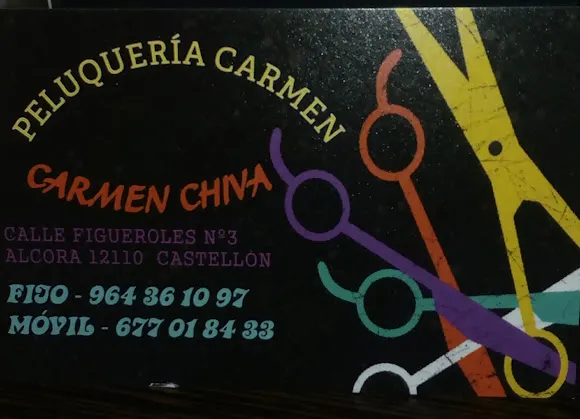 Peluquería Carmen - Castellón de la Plana