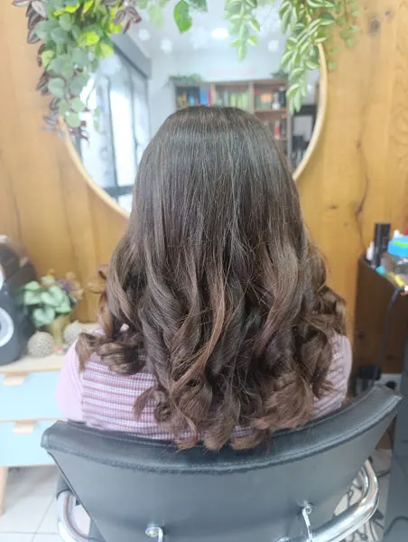 Peluquería Venus Castellón - Castellón de la Plana