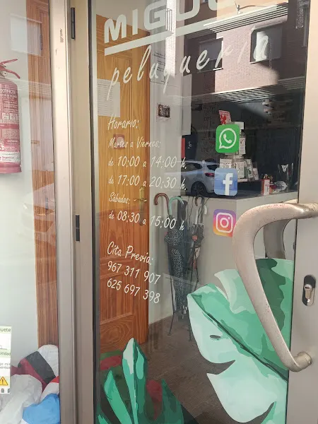 Peluquería Miguel Peinados - Almansa
