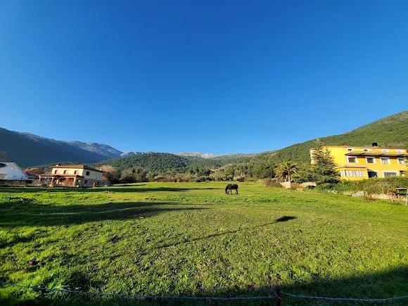 Perfil Peluqueros - Ávila