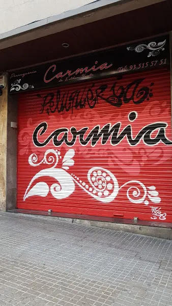 Peluqueria Carmia