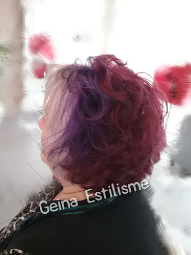 GEINA Estilisme Perruqueria