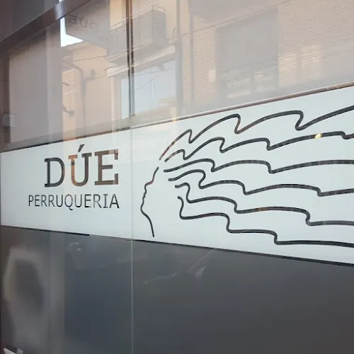 PERRUQUERIA DUE