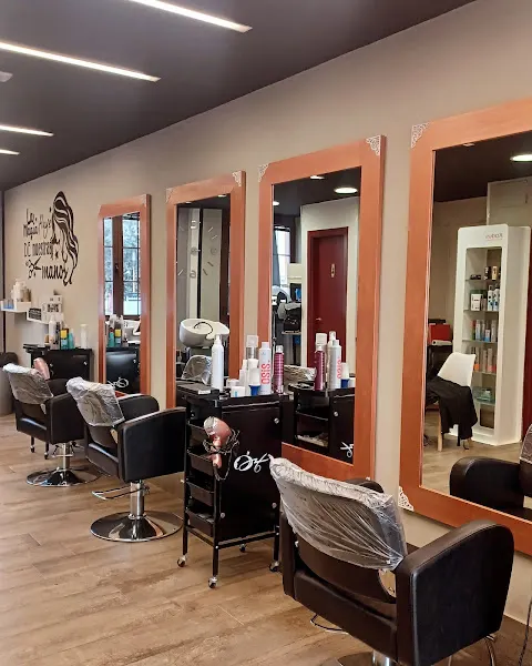 La peluqueria unisex - Aranda de Duero