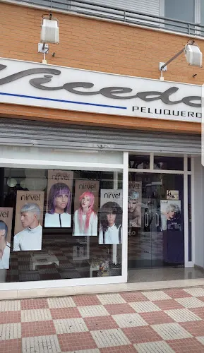 Vicedo Peluqueros Castalla - Ibi