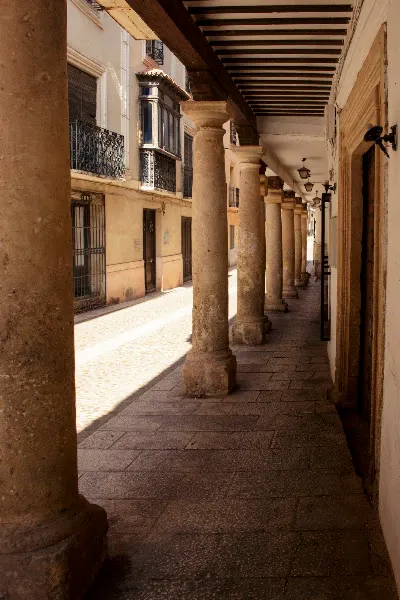 Ana María García Galdón - Alcaraz