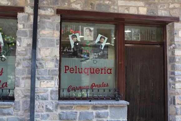 PELUQUERIA CARMEN PAULES - Sabiñánigo