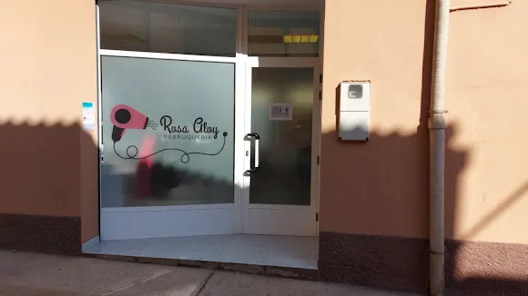 Perruqueria Rosa Aloy - Lleida