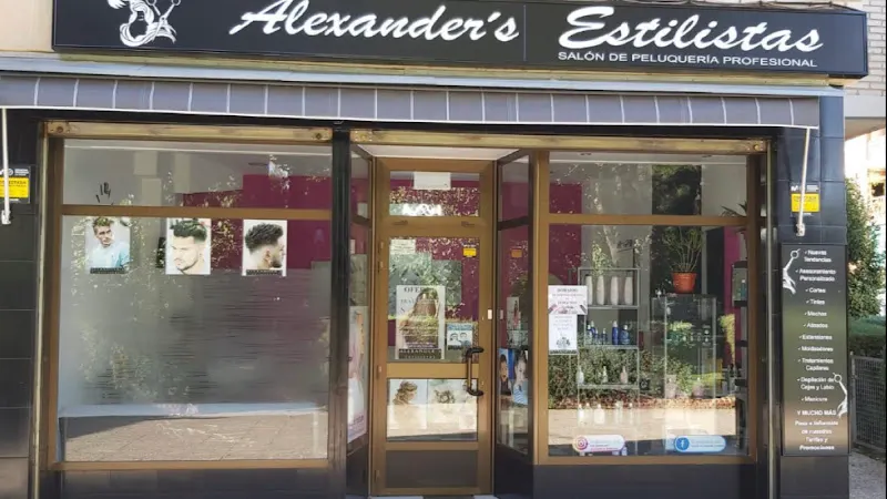Peluquería y Estética Alexander's Estilistas - Peluquería en Mostoles - foto 2