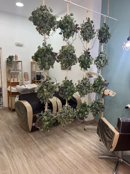 Peluquería Caché