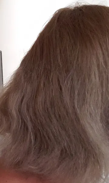 Elite Peluqueros