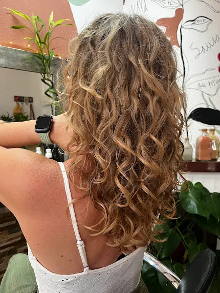 WALNUT Tree hair salon Curly & Wavy hair specialist - Adsubia