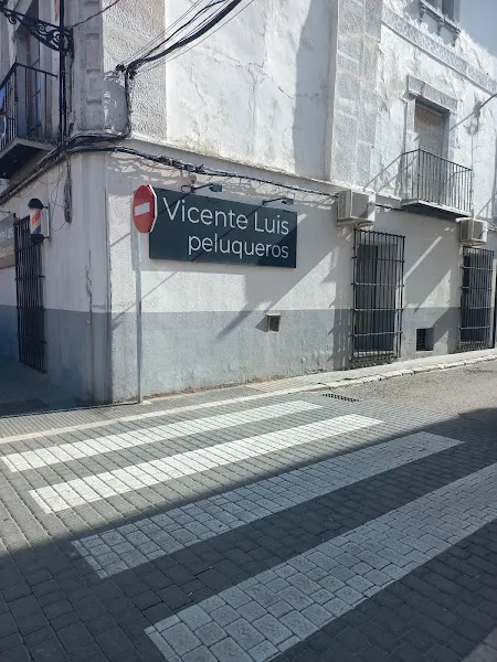 Vicente Luis Peluqueros - Ocaña