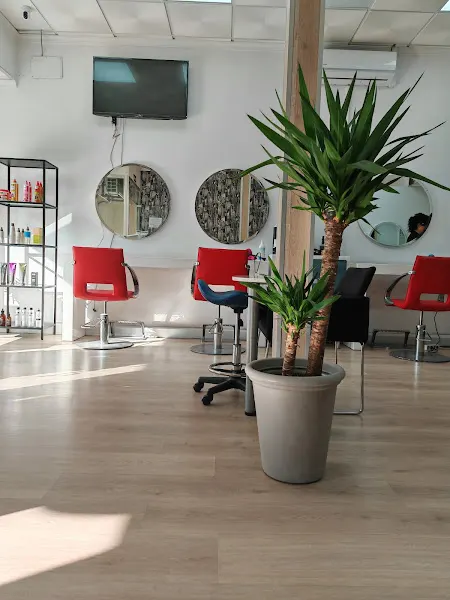 S2S Peluqueros & Estética en Toledo