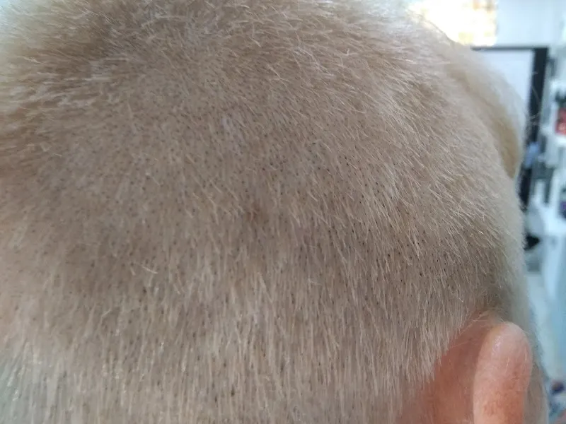 Peluqueria Bellissima - Peluquería en Sevilla - foto 2