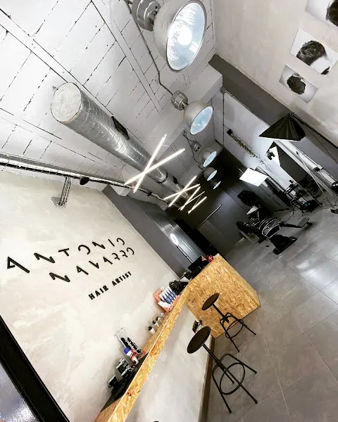 Antonio Navarro Hair Artist