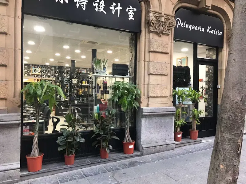 Peluquería Kalsia卡尔诗设计室