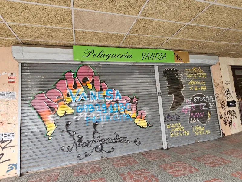 Peluquería Vanesa del Amo