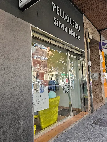 Peluquería Silvia Mateos Carvalho