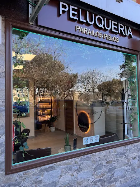 Para Los Pelos - Peluquería en Mostoles - foto 2