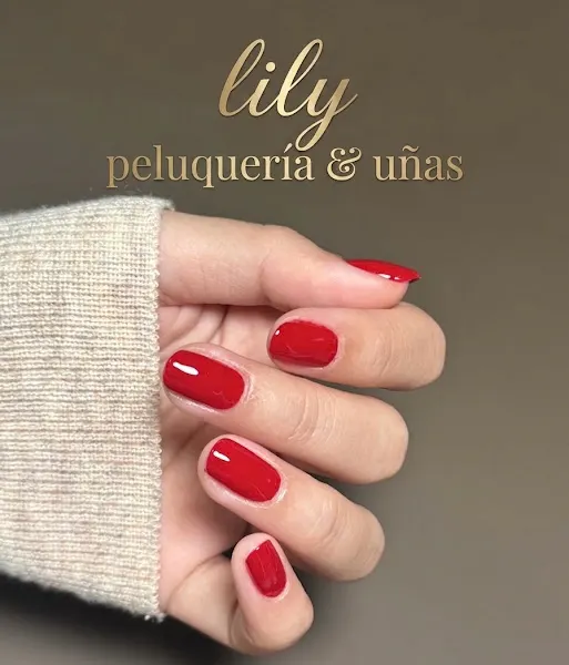 Lily Peluquería & Uñas - Getxo