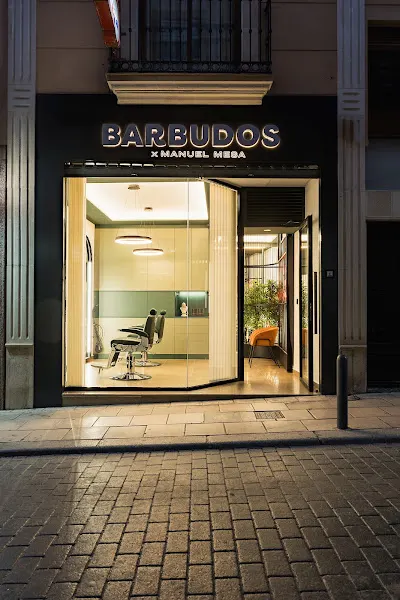 BARBUDOS X Manuel Mesa