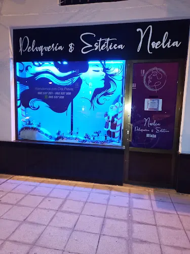 Peluquería y Estética Noelia - Zamora