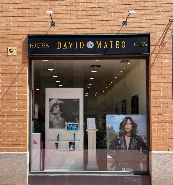 Peluqueria David Mateo