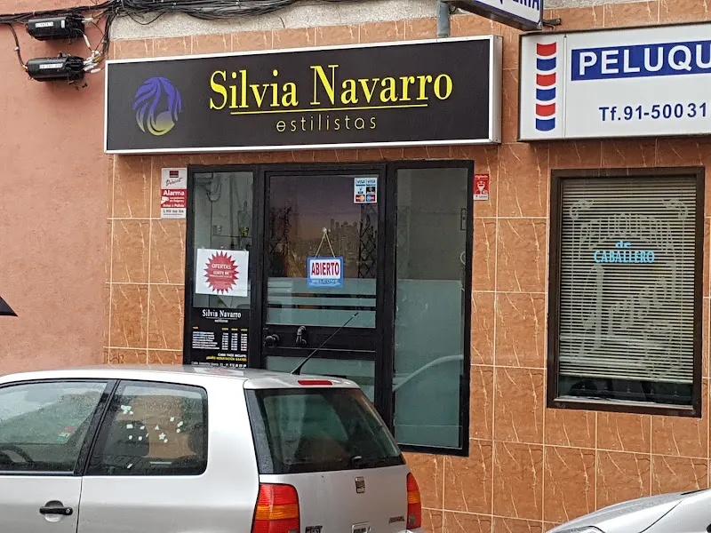 Silvia Navarro Estilistas