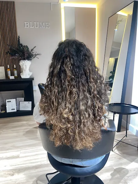Blume Peluquería Profesional