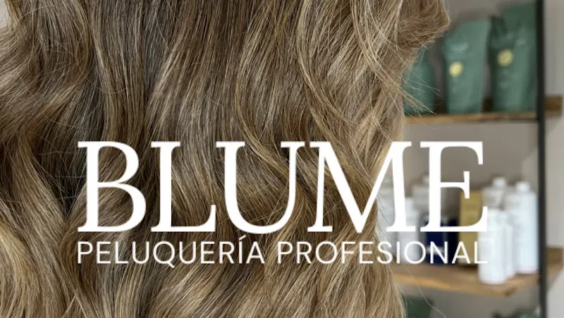 Blume Peluquería Profesional - Peluquería en Madrid - foto 2