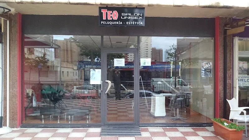 Salón de Belleza Teo
