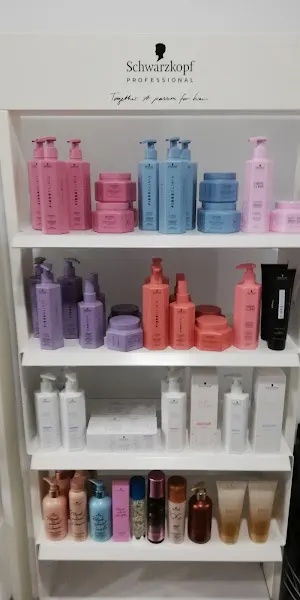 COLORSBC&Estilistas