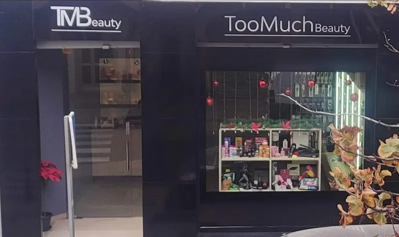 TOO MUCH BEAUTY by HERNAN CAMPORRO - Paterna