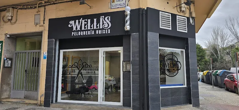 PeluquerÃa Wellis 💈 - PeluquerÃa en Zaragoza - foto 2