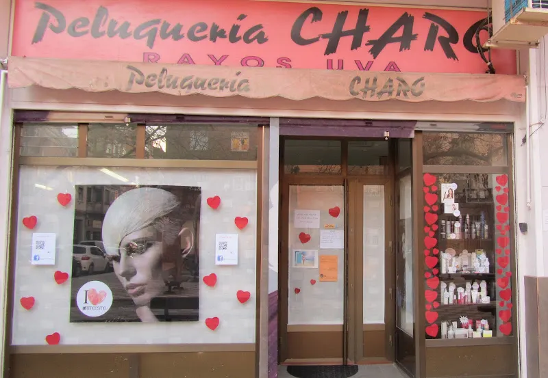 Peluquería Charo - Peluquería en Zaragoza - foto 2