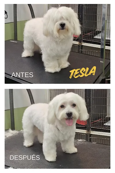 Fauna Castelldefels