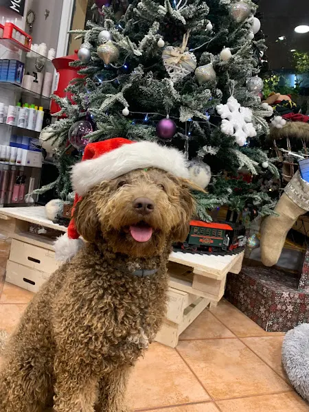 Saló Susana Montoya - Peluquería en Hospitalet de Llobregat (L) - foto 2