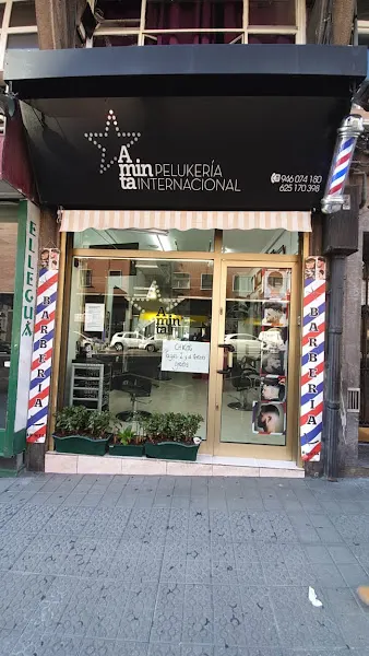 Peluqueria Aminta