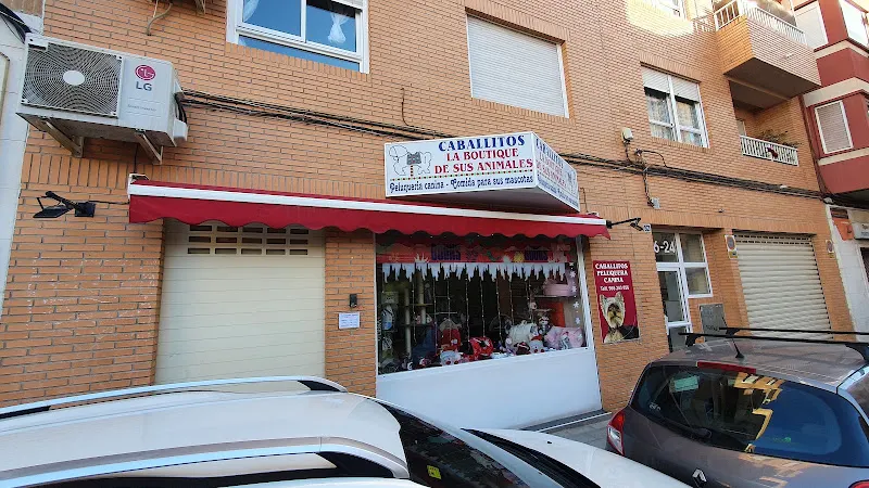 Caballitos en Alicante