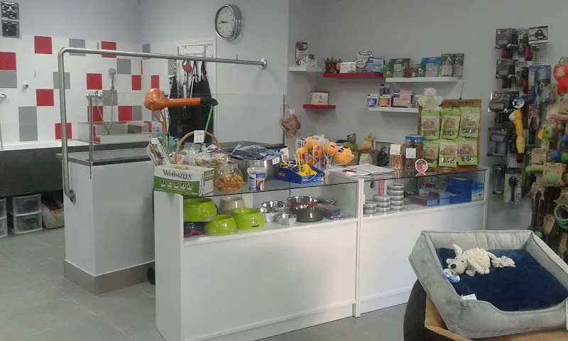 Caballitos - Peluquero de mascotas en Alicante - foto 2