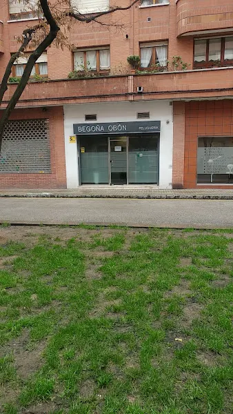 Begoña Fernández Obón