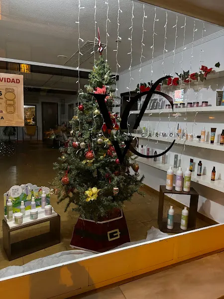 PELUQUERIA ANDREA