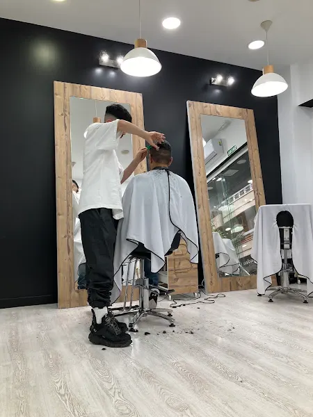 BLESSON PROFESSIONAL GRX