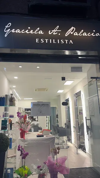 Graciela A.Palacio estilista