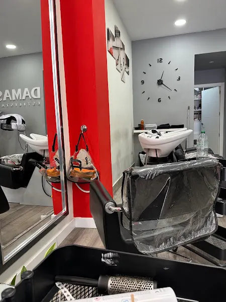 Damas Estilistas