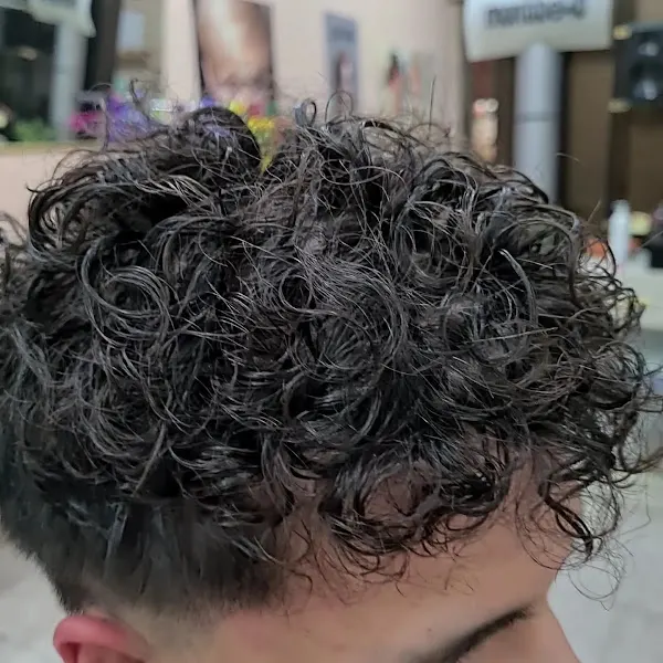 Peluquería Nuevo Estilo Complutense